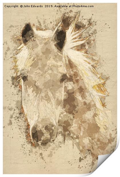 Pony  Print by John Edwards