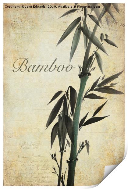 Bamboo Print by John Edwards