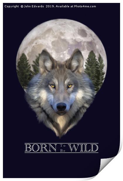 Born to be Wild Print by John Edwards