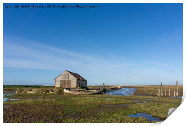 A Solitary Beauty Print by John Edwards