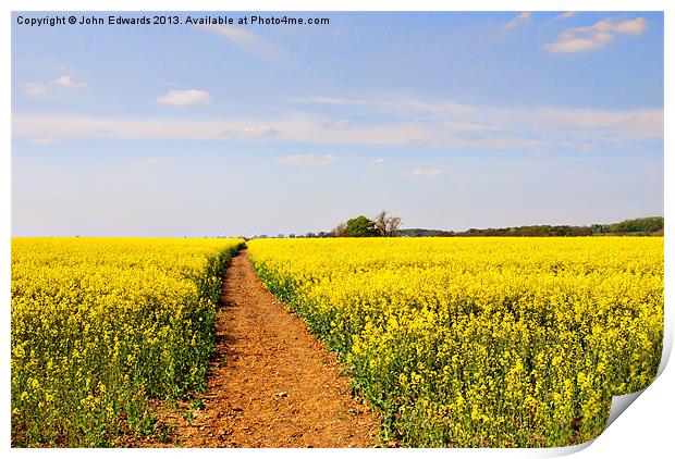 The Path to Bosworth Field Print by John Edwards