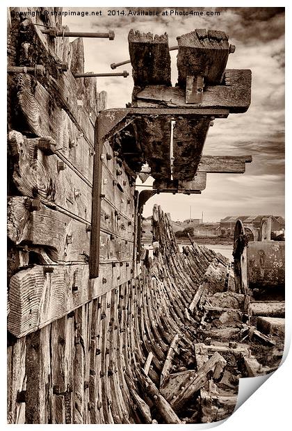 Gone to Wreck & Ruin Print by Sharpimage NET