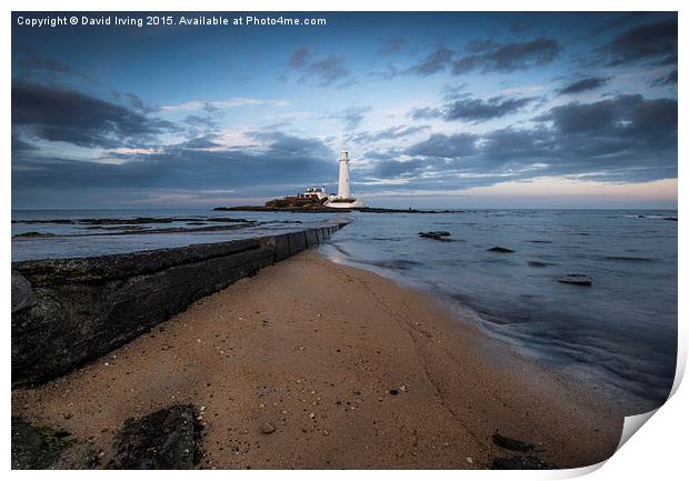  St Marys Lighthouse and Island Print by David Irving