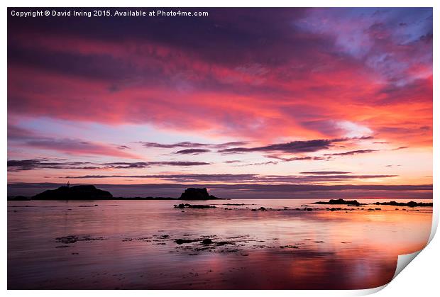 Sunrise over the Island of Fidra East Lothian  Print by David Irving