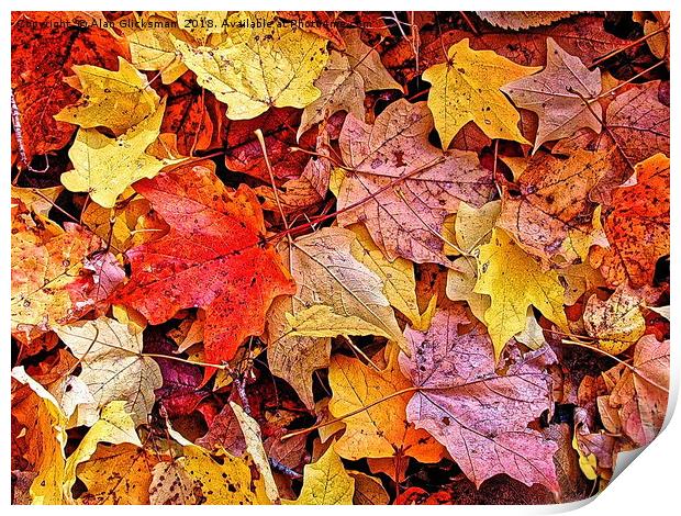 Autumn leaf color Print by Alan Glicksman