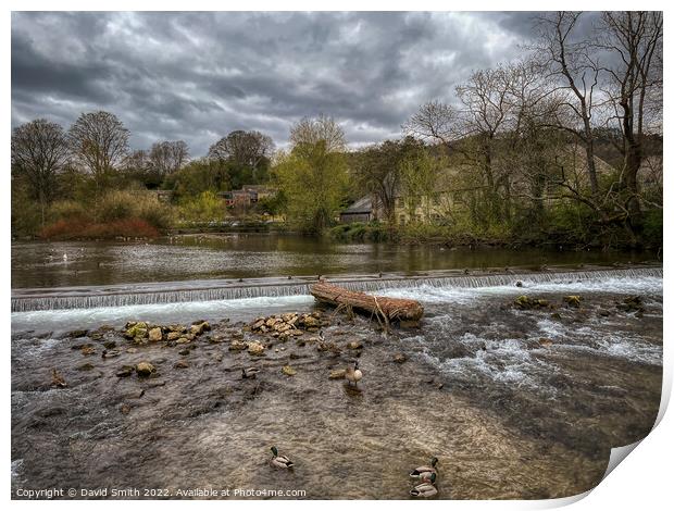 Bakew From The Bridge Of Locks Print by David Smith