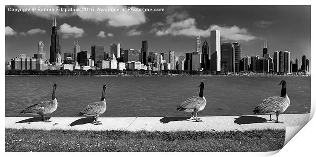  Chicago Geese  Print by Eamon Fitzpatrick