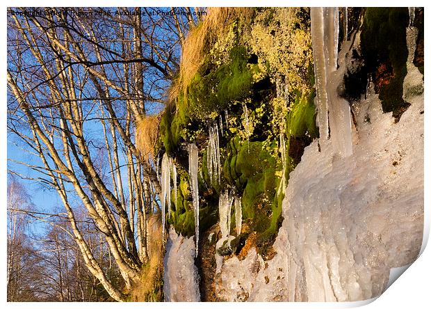  Icicles on the riverbank Print by Nigel Higson