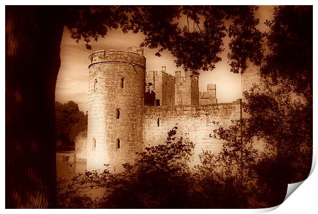  A view of Bodiam Castle through the trees Print by pristine_ images