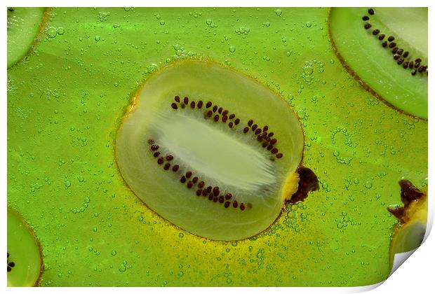 Kiwifruit Print by pristine_ images