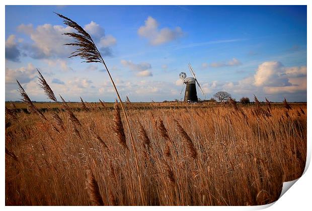  Mutton's Mill, Norfolk Print by Broadland Photography