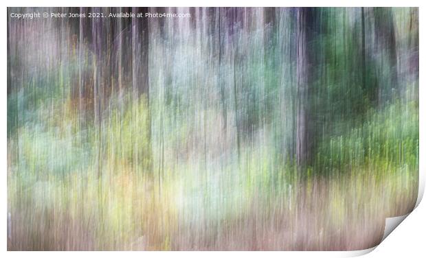 Woodland Impression Print by Peter Jones