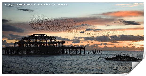 Starling murmuration at sunset. Print by Peter Jones