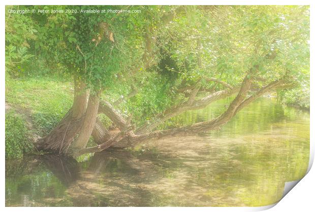 River Wye, High Wycombe, Bucks. one Summer Print by Peter Jones