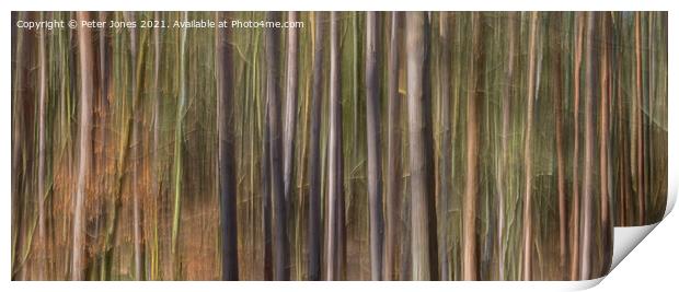 Abstract tall trees Print by Peter Jones