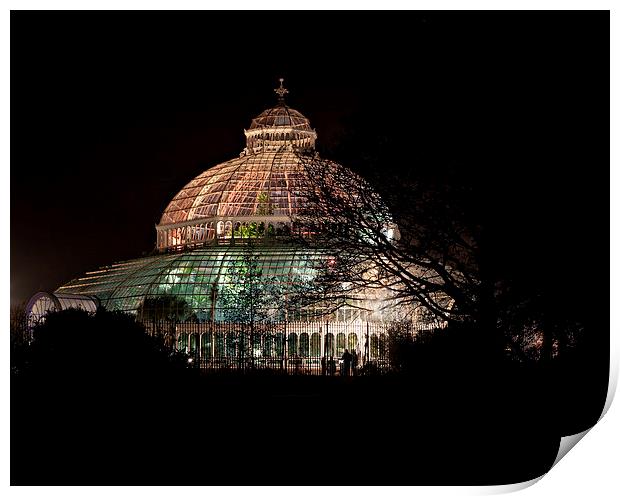 Sefton Park Palm House, Liverpool, England, comple Print by ken biggs