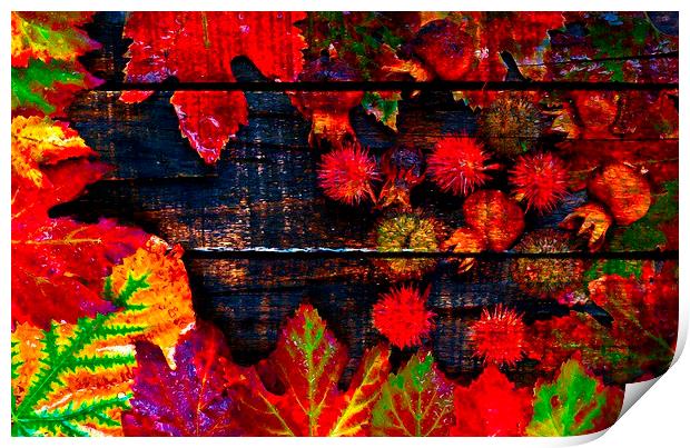  Colorful autumn leaves  Print by ken biggs