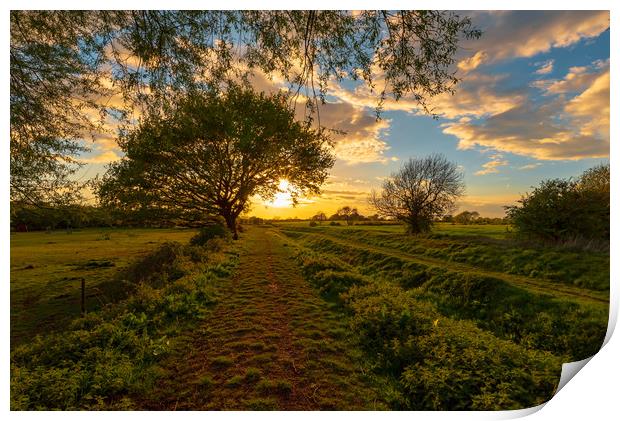 Sunset over South Hykeham, Lincoln  Print by Andrew Scott