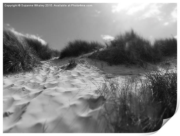  Northumberland Coastline Bamburgh Print by Suzanne Whaley