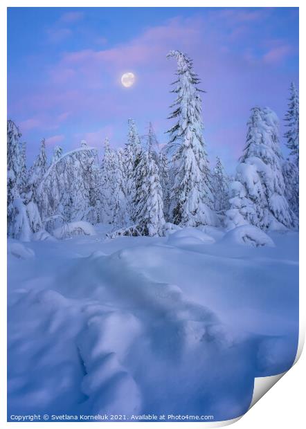 Snowy winter forest at sunset Print by Svetlana Korneliuk