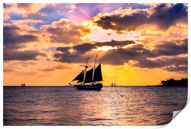 Sunset in Key West, Florida Print by Svetlana Korneliuk