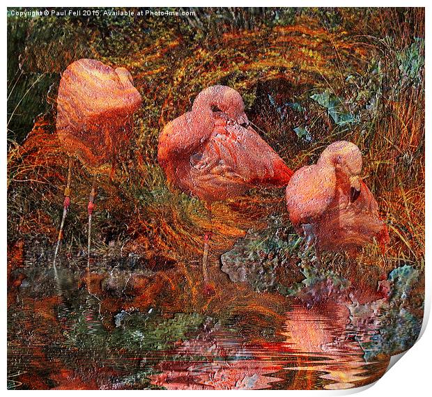 Flamingo Rust Print by Paul Fell