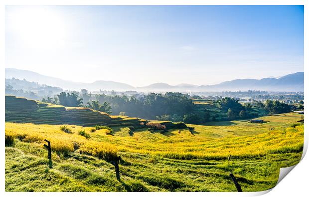 beautiful landscape view of paddy farmland Print by Ambir Tolang