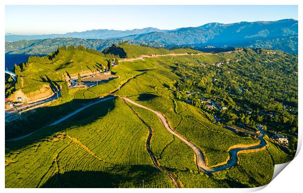 aerial view of tea farmland Print by Ambir Tolang