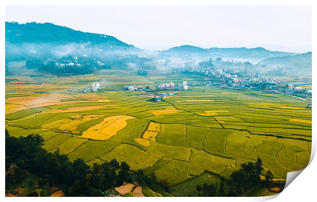 aerial view of paddy farmland Print by Ambir Tolang