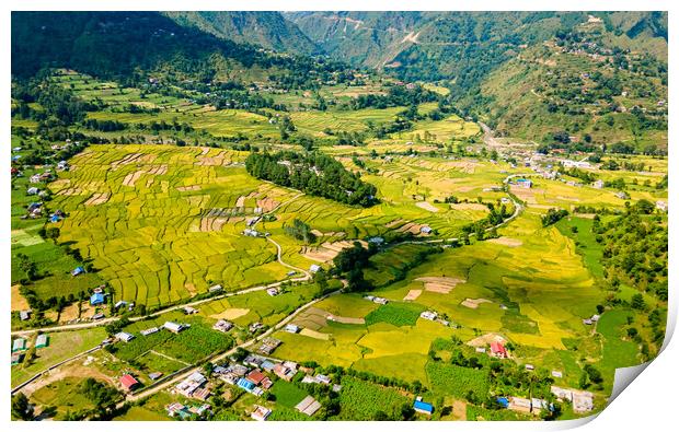 aerial  view of paddy farmland Print by Ambir Tolang