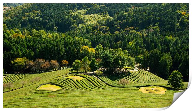 greenery tea gaerden Print by Ambir Tolang