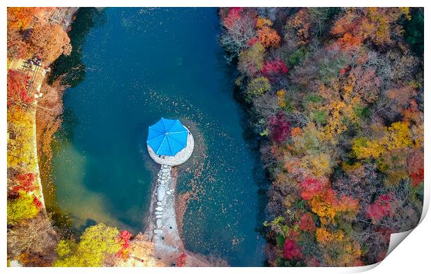beautiful aerial view of Autumn Print by Ambir Tolang