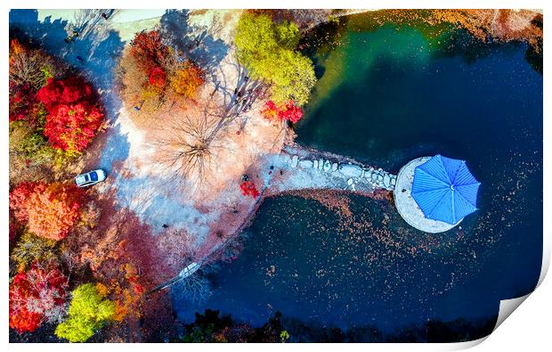 autumn season aerial view Print by Ambir Tolang