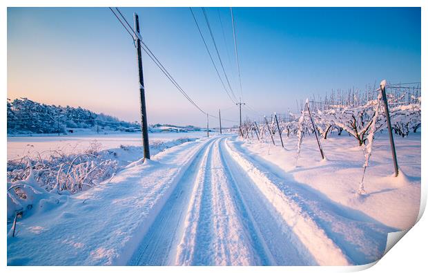 snow covered road Print by Ambir Tolang