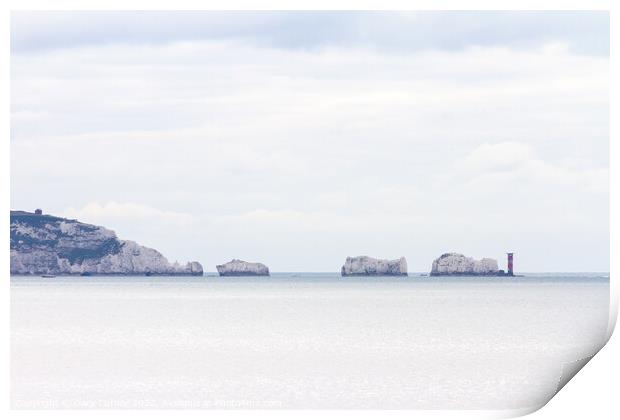 The Needles hampshire Print by Gary Turner