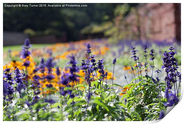  Spring Flowers Print by Gary Turner