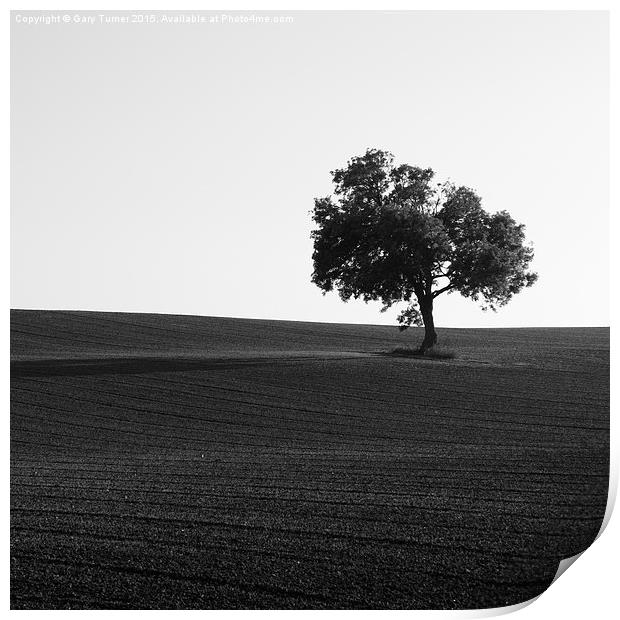  Lonely Tree Print by Gary Turner