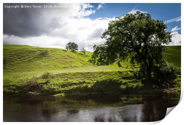 Grazing By The River Wharfe Print by Gary Turner