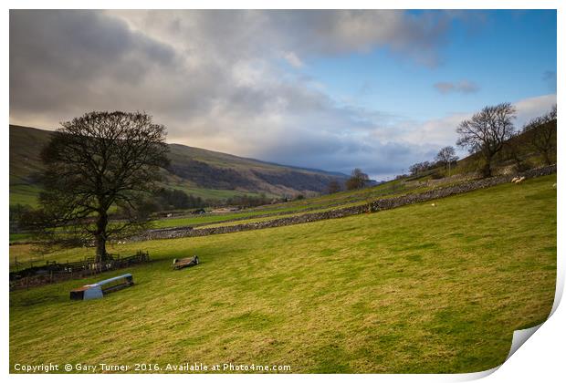 North from Kettlewell to Cross Fields Print by Gary Turner