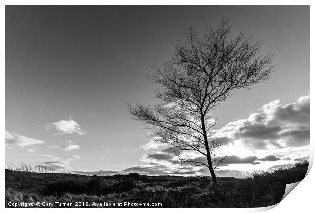 Tree at Ogden Print by Gary Turner