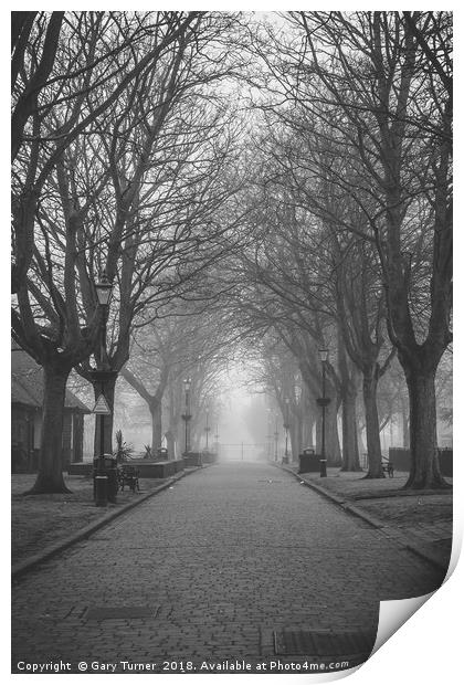 Avenue and Mist Print by Gary Turner