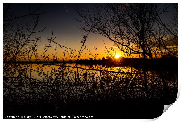 Bramble Sunset Print by Gary Turner