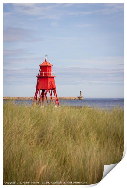 Herd Groyne Lighthouse through the dunes Print by Gary Turner