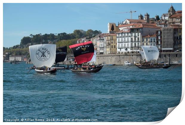 Porto Sailing Regatta on the river Douro Print by Adrian Beese