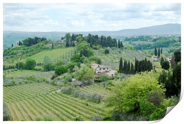 Tuscan Villa and vineyards Print by Adrian Beese