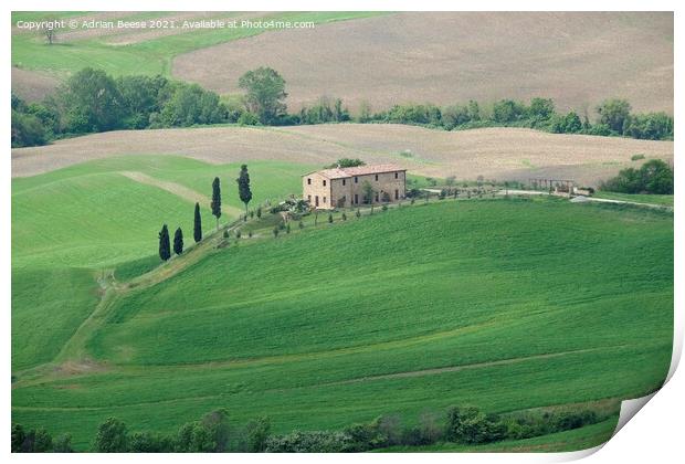 Old Tuscan farm Print by Adrian Beese