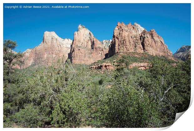 Temples and Towers Mountain Zion National Park Print by Adrian Beese
