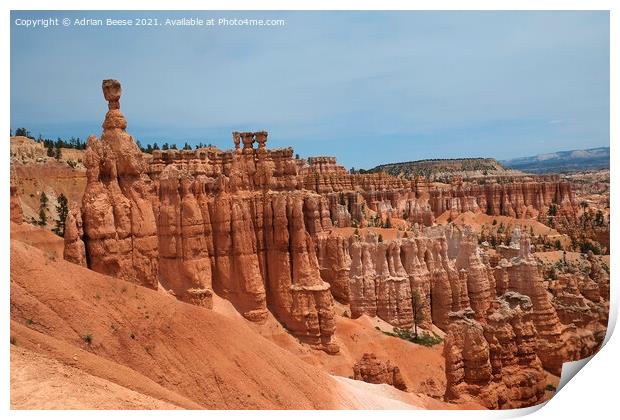 Crimson Hoodoos Bryce Canyon National Park Print by Adrian Beese