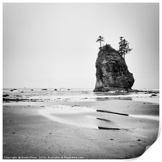 Olympic Coast Print by Brent Olson