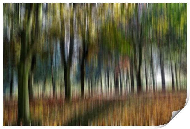 Woodland Blur Print by Kevin Round